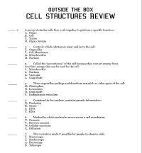 26 Parts Of The Cell Matching Worksheet - combining like terms worksheet